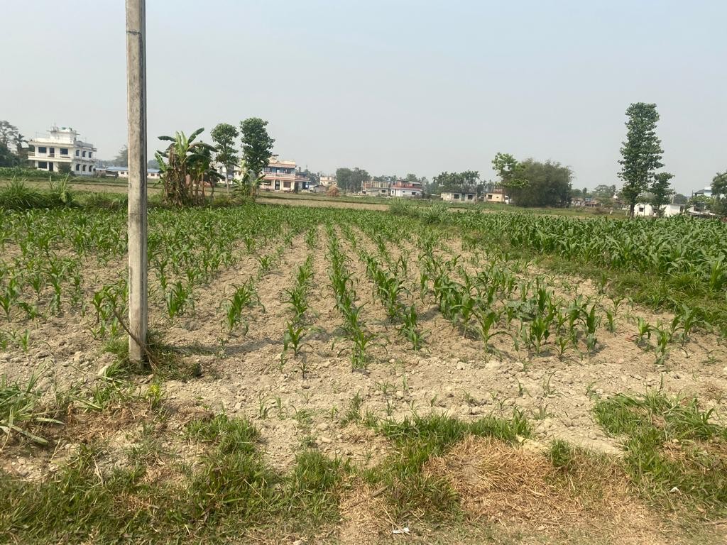 land at anarmani-1, Jhapa